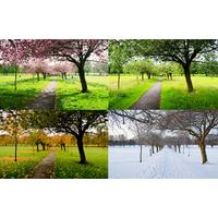 Blog 8.