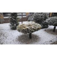 Blog 5.